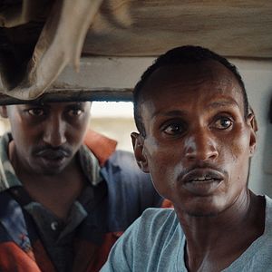 Bilder When Lambs Become Lions