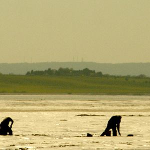 Bilder World Without End (No Incidents Reported)