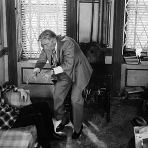 Bilder In the Soup - Alles Kino