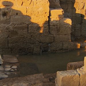 Bilder Papst Franziskus - Ein Mann seines Wortes