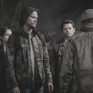 Bilder Misha Collins