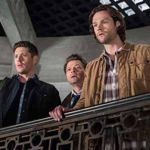 Bilder Misha Collins