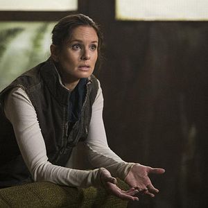 Bilder Sarah Wayne Callies