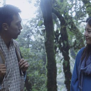 Bilder Honeygiver Among the Dogs