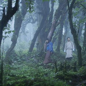 Bilder Honeygiver Among the Dogs