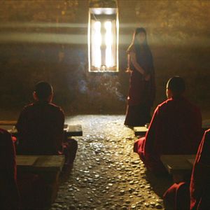 Bilder Honeygiver Among the Dogs