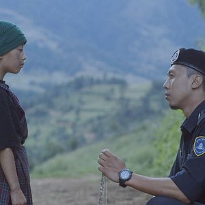 Bilder Honeygiver Among the Dogs