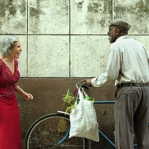 Bilder Veronica Lynn