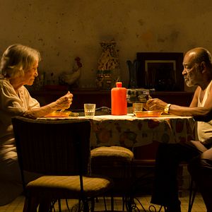 Bilder Veronica Lynn