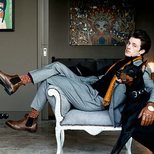 Bilder Asphaltgorillas