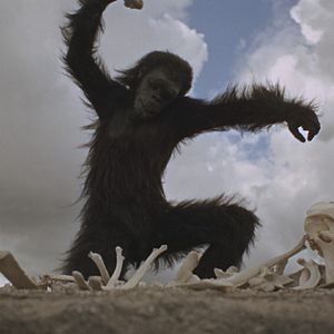 Bilder 2001: Odyssee im Weltraum