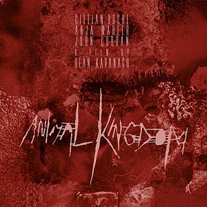 Bilder Animal Kingdom