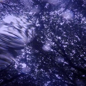 Bilder Animal Kingdom