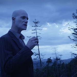 Bilder Animal Kingdom