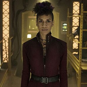 Bilder Dominique Tipper