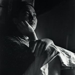 Bilder Das Insektenweib