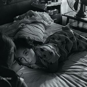 Bilder Das Insektenweib