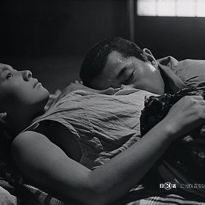 Bilder Das Insektenweib