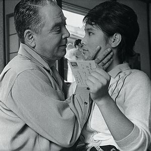 Bilder Das Insektenweib