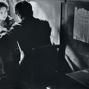 Bilder Das Insektenweib