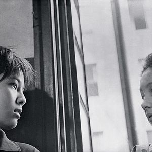 Bilder Das Insektenweib