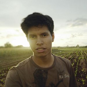 Bilder Euller Miller Entre Dois Mundos