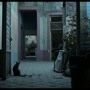 Bilder Los años azules