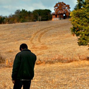 Bilder The Wild Pear Tree