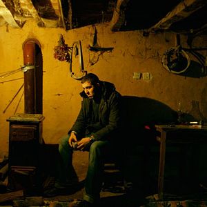 Bilder The Wild Pear Tree