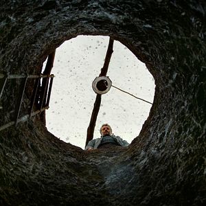 Bilder The Wild Pear Tree