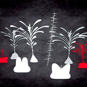 Bilder North of Blue