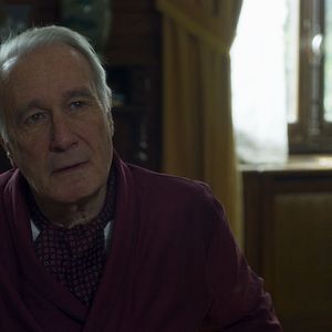 Bilder Wo ist Albert?