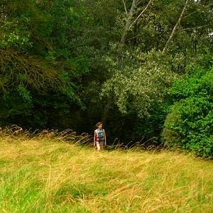 Bilder Contes de juillet