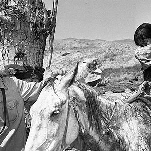 Bilder Der erste Lehrer