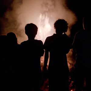 Bilder Königin von Niendorf