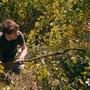 Bilder Joseph Rottner