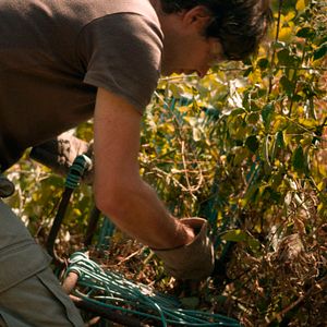 Bilder Joseph Rottner