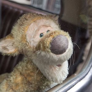 Bilder Christopher Robin