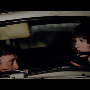 Bilder Daria Nicolodi