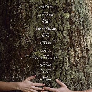 Bilder Der Baum des Blutes