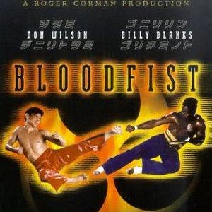 Bilder Blood Fist Fighter
