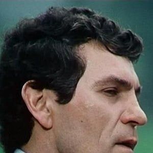 Bilder Willy Schäfer