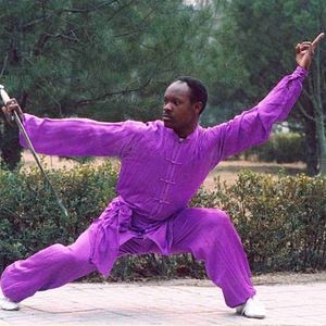 Bilder L'Africain qui voulait voler