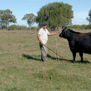 Bilder Asado, mein Lieblingsgericht aus Argentinien