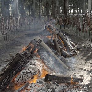 Bilder Asado, mein Lieblingsgericht aus Argentinien