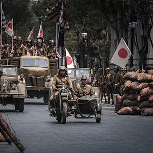 Bilder Wings of Freedom - Auf den Schwingen der Freiheit
