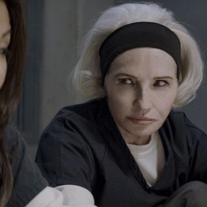 Bilder Animal Kingdom