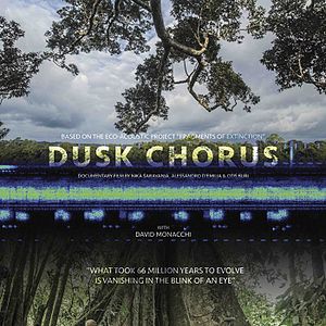 Bilder Dusk Chorus