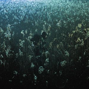 Bilder Joint Security Area