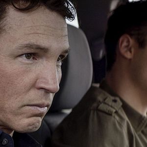 Bilder Animal Kingdom